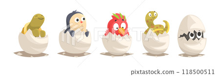 Chicks and Reptiles Hatch from Cracked Egg Shell Vector Set Chicks and Reptiles Hatch from Cracked Egg Shell Vector Set 118500511