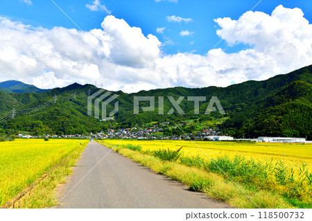 View of the area around Sakurazawa Station on the Nagano Electric Railway Nagano Line (Nakano City, Nagano Prefecture) [September 2024] 118500732