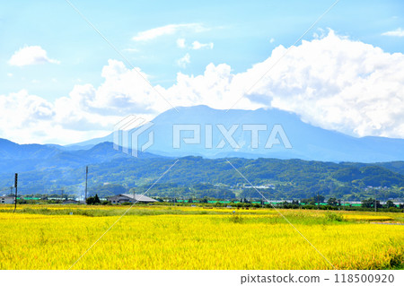 從小布施町眺望飯綱山（長野縣小布施町） [2024.9] 118500920