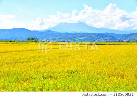 從小布施町眺望飯綱山（長野縣小布施町） [2024.9] 118500921