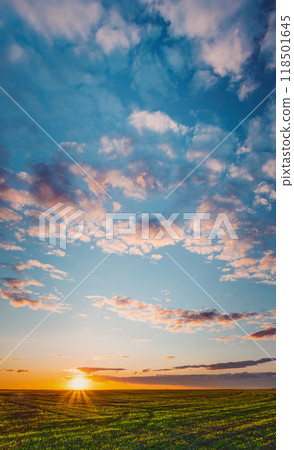 Sunset, Sunrise, Sun Over Rural Countryside Wheat Field. Spring Time 118501645
