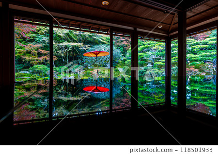 滋賀郡秋天的老竹林院 118501933