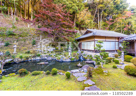 Autumn leaves at Saikyoji Temple, Shiga Prefecture 118502289