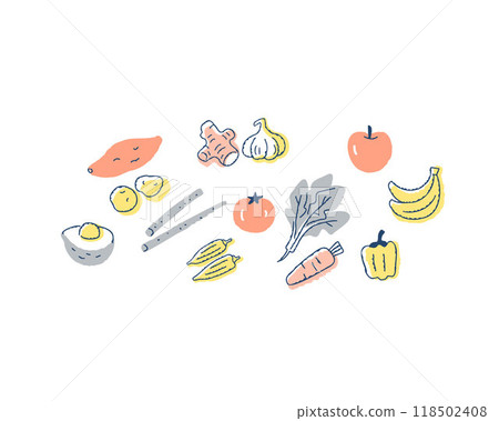 各種蔬菜和水果 118502408