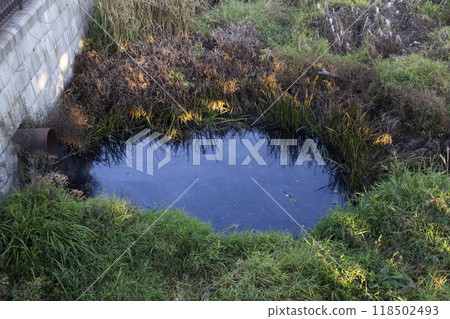Pollution in the river In Ukraine in the city Sumy. A rusted metal culvert from which Runoff rainwater into a river. River overgrown with grass Pollution in the river In Ukraine in the city Sumy. A rusted metal culvert from which Runoff rainwater into a river. River overgrown with grass 118502493