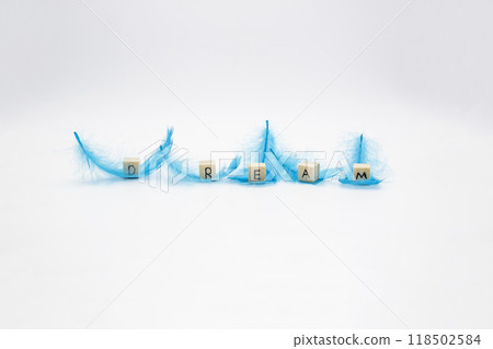 The word DREAM written on wooden cubes which lay on the blue feathers against white background The word DREAM written on wooden cubes which lay on the blue feathers against white background 118502584