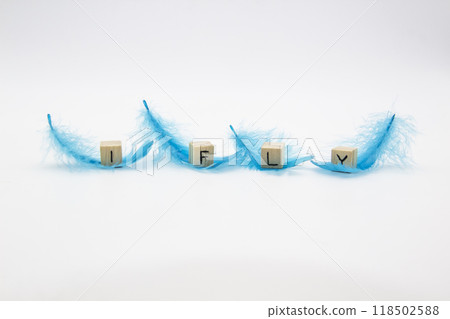 The words I FLY written on wooden cubes which lay on the blue feathers against white background 118502588