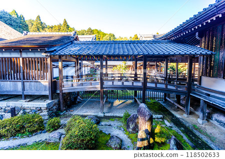 滋賀縣西教寺的秋葉 118502633