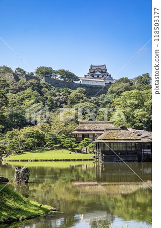 Hikone Castle, a national treasure, viewed from Genkyuen Garden in Hikone City Hikone Castle, a national treasure, viewed from Genkyuen Garden in Hikone City 118503177