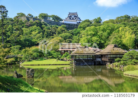 Hikone Castle, a national treasure, viewed from Genkyuen Garden in Hikone City 118503179