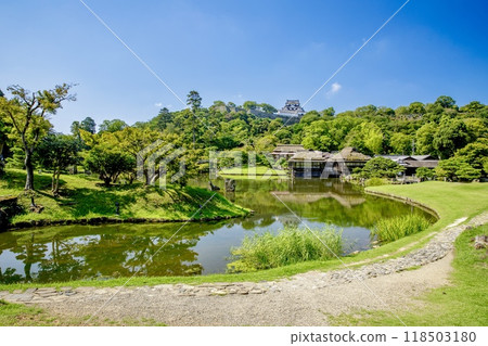 從玄宮園眺望國寶彥根城的彥根市 118503180