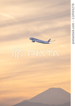 airplane in the sunset 118503278