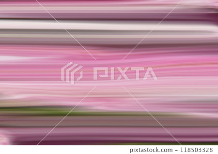 Colorful lines with pink, green and plum colors in abstract background texture. 118503328