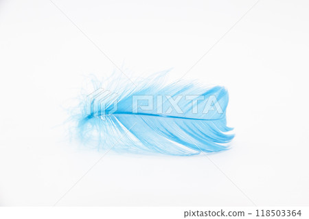 Beautiful blue fluffy bird feather on a white background. 118503364
