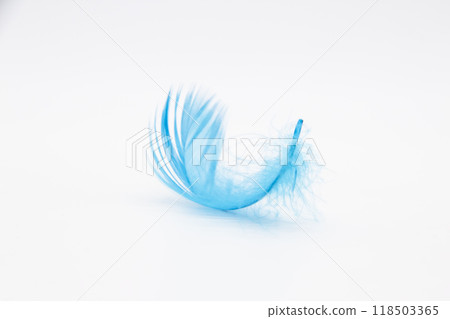 Beautiful blue fluffy bird feather on a white background. 118503365
