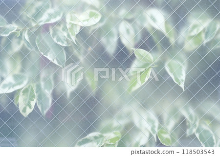 玻璃室內植物漸層/圖像/背景材料/圖像材料 玻璃室內植物漸層/圖像/背景材料/圖像材料 118503543