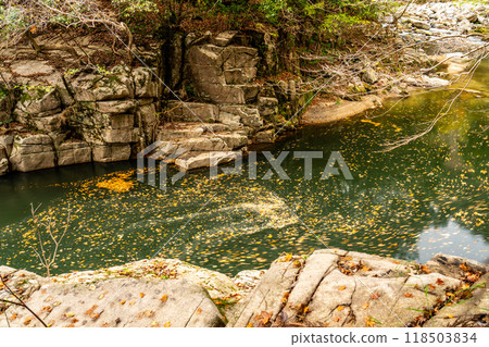 Autumn in Okutsu Valley: Fallen leaves flowing 1, Kagamino-cho, Tomata-gun, Okayama Prefecture 118503834