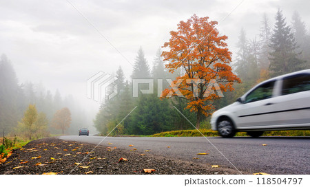 new asphalt road through woodland in autumn. misty weather with overcast sky. low visibility, cars on the way new asphalt road through woodland in autumn. misty weather with overcast sky. low visibility, cars on the way 118504797