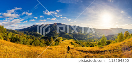 panorama of rural landscape in carpathian mountains in autumn. sunny day. grassy field and rolling hills. countryside scenery of ukraine. village in the distant valley 118504800