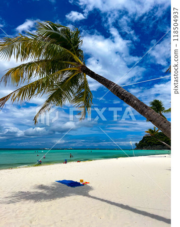 A leaning palm tree on the White beach, Boracay against blue sky and ocean. High quality photo A leaning palm tree on the White beach, Boracay against blue sky and ocean. High quality photo 118504937