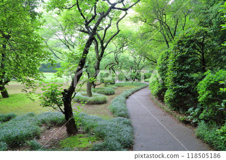 Tojogaoka Historical Park Plum Garden 118505186