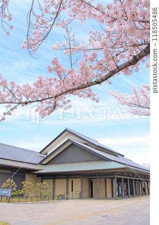 Nagoya Noh Theatre and cherry blossoms in full bloom, Nagoya, Aichi Prefecture 118505486