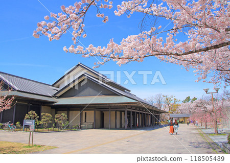 Nagoya Noh Theatre and cherry blossoms in full bloom, Nagoya, Aichi Prefecture 118505489