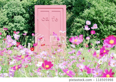 宇宙之門盛開 宇宙之門盛開 118505998