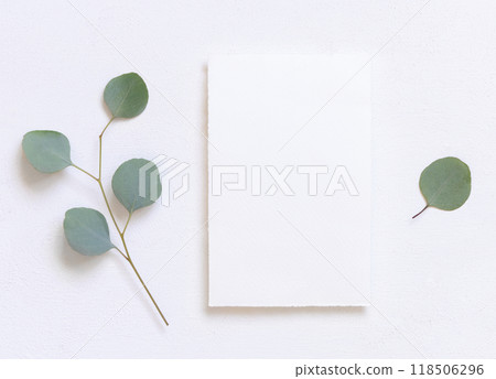 Card on a white table near green eucalyptus branches and leaves, Wedding mockup 118506296