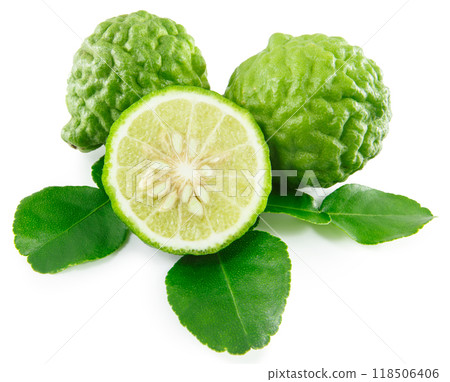 Bergamot and kaffir lime leaves on white background Bergamot and kaffir lime leaves on white background 118506406