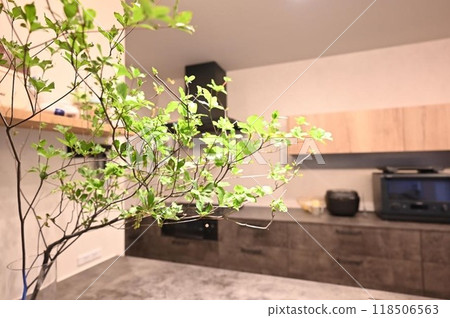 Kitchen in a new house 118506563