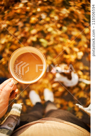 Autumn mood. Top view of a female figure with a mug of coffee against the background of fallen orange leaves, a pumpkin and a dog 118506594