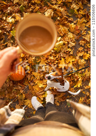 Autumn mood. Top view of a female figure with a mug of coffee against the background of fallen orange leaves, a pumpkin and a dog 118506606