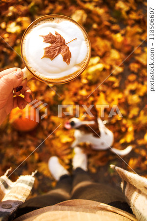 Autumn mood. Top view of a female figure with a mug of coffee against the background of fallen orange leaves, a pumpkin and a dog 118506607