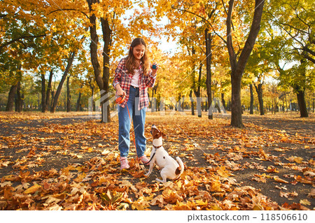Happy joyful little girl playing with her funny Jack Russell Terrier in beautiful autumn forest, child playing and having fun with dog during walk in nature. Children and pets outdoors 118506610