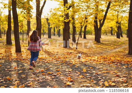 Happy joyful little girl playing with her funny Jack Russell Terrier in beautiful autumn forest, child playing and having fun with dog during walk in nature. Children and pets outdoors 118506616