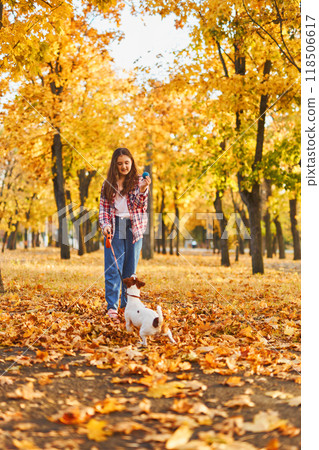 Happy joyful little girl playing with her funny Jack Russell Terrier in beautiful autumn forest, child playing and having fun with dog during walk in nature. Children and pets outdoors 118506617