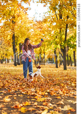 Happy joyful little girl playing with her funny Jack Russell Terrier in beautiful autumn forest, child playing and having fun with dog during walk in nature. Children and pets outdoors 118506618