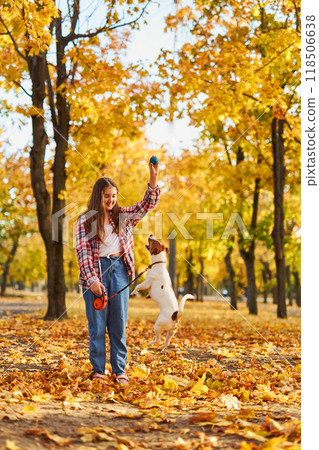 Happy joyful little girl playing with her funny Jack Russell Terrier in beautiful autumn forest, child playing and having fun with dog during walk in nature. Children and pets outdoors 118506638