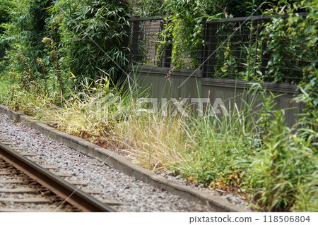 鐵路邊 鐵路邊 118506804