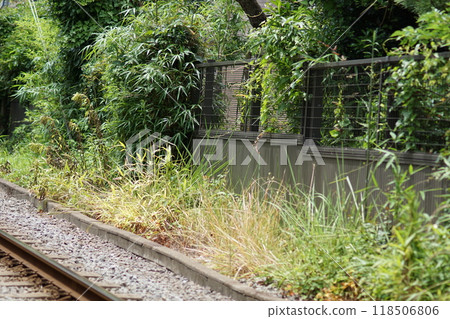 Railside side 118506806