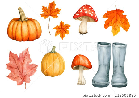 autumn, fall, pumpkin 118506889