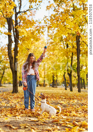 Happy joyful little girl playing with her funny Jack Russell Terrier in beautiful autumn forest, child playing and having fun with dog during walk in nature. Children and pets outdoors 118507058