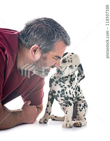 puppy dalmatian and man in studio 118507386