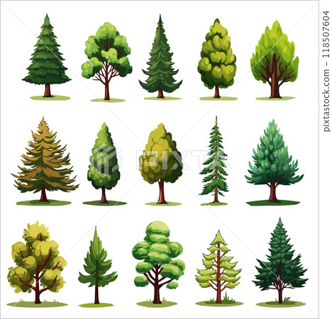 Forest evergreen tree vector set. Conifer woodland illustrations 118507604