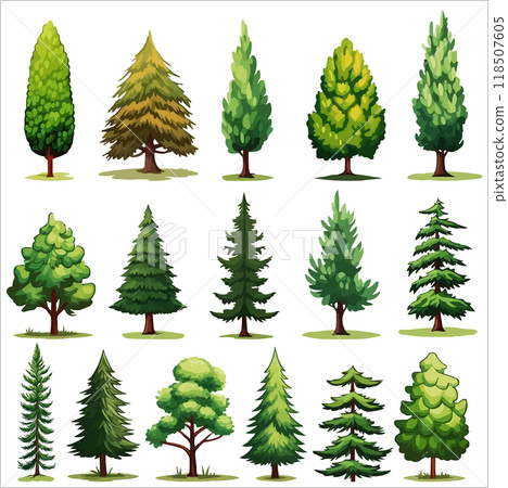 Forest evergreen tree vector set. Conifer woodland illustrations Forest evergreen tree vector set. Conifer woodland illustrations 118507605