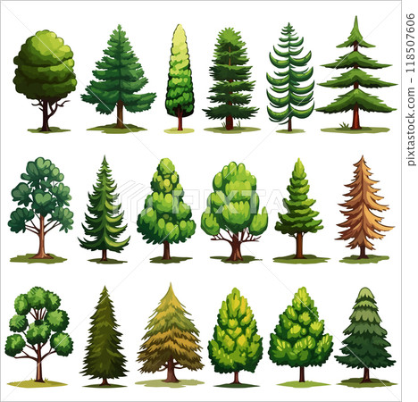 Forest evergreen tree vector set. Conifer woodland illustrations 118507606