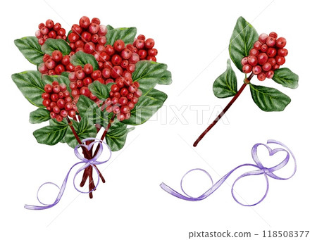 Bouquet of coffee branches, red coffee berries tied with purple ribbon in the shape of a heart Bouquet of coffee branches, red coffee berries tied with purple ribbon in the shape of a heart 118508377