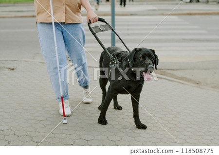 Black Labrador helping unrecognizable woman with disability walk outside 118508775