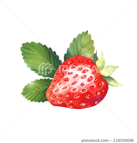 Strawberry illustration on white background 118509096